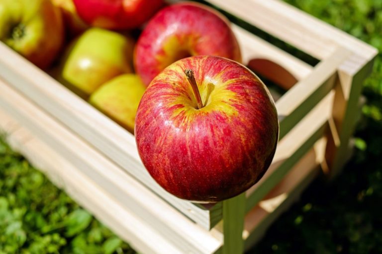 Cholesterin und Ernährung: Was Lebensmittel bewirken — und was nicht - mediclife.de