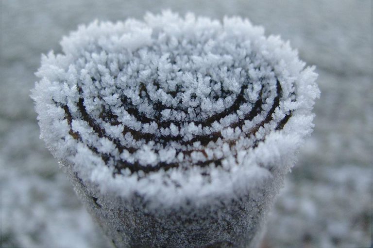 Hautpflege im Winter: Was trockene Haut braucht - mediclife.de